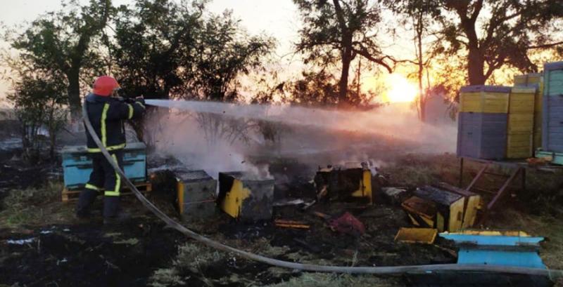 На Миколаївщині згоріло 93 вулика на пасіці