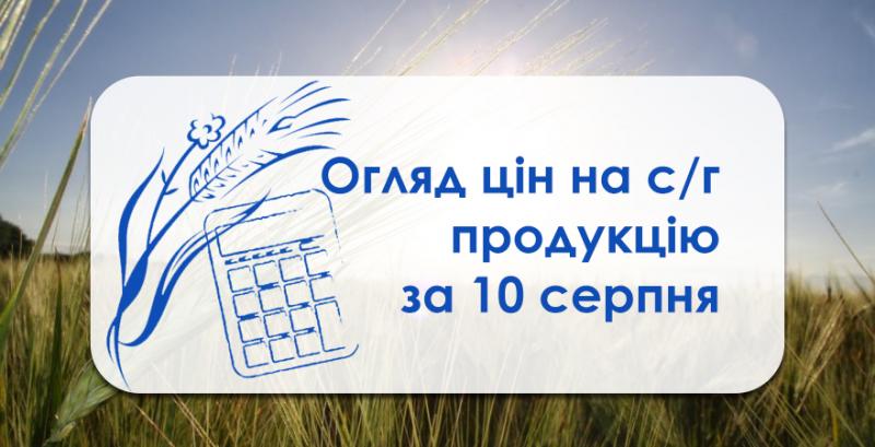 В Україні подешевшала пшениця — огляд цін на с/г продукцію за 10 серпня