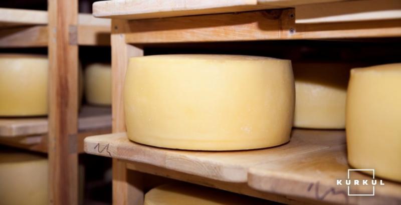 Вітчизняні виробники сиру віддали третину ринку європейським конкурентам