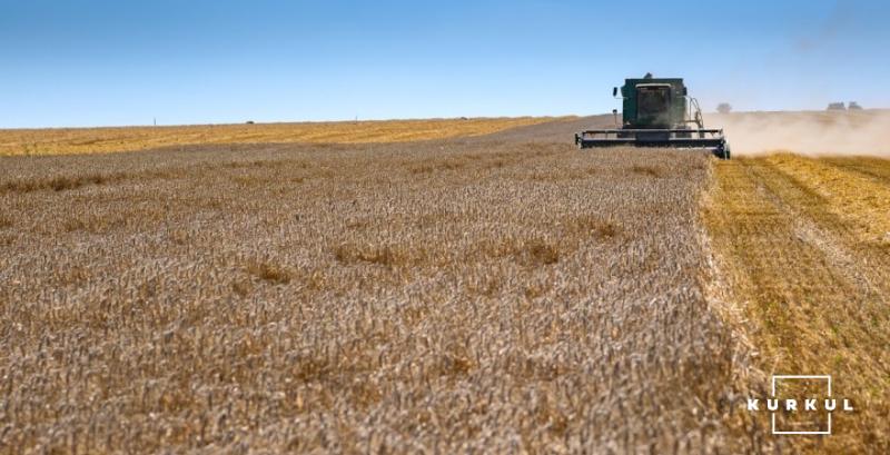В Україні зібрано вже понад 36 мільйона тонн зерна 