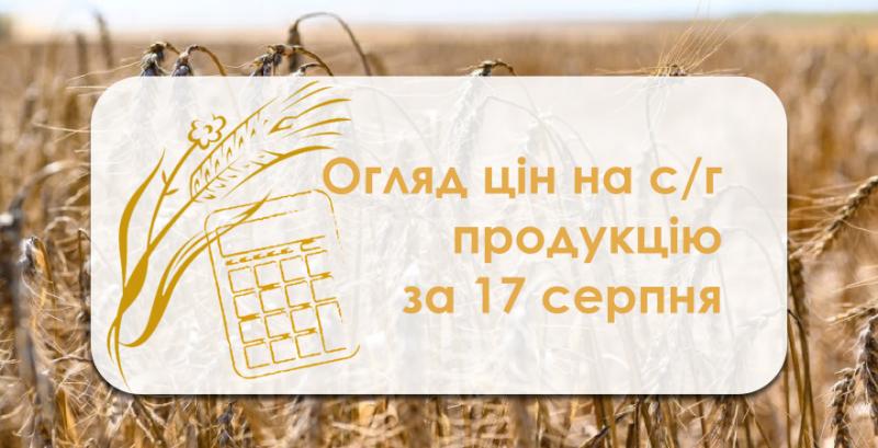 В Україні дешевшає зерно — огляд цін на с/г продукцію за 17 серпня