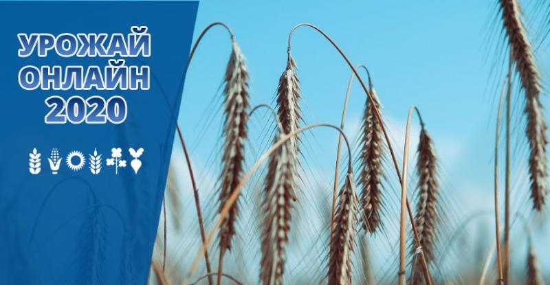 Українським аграріям залишилося зібрати всього 4% врожаю пшениці