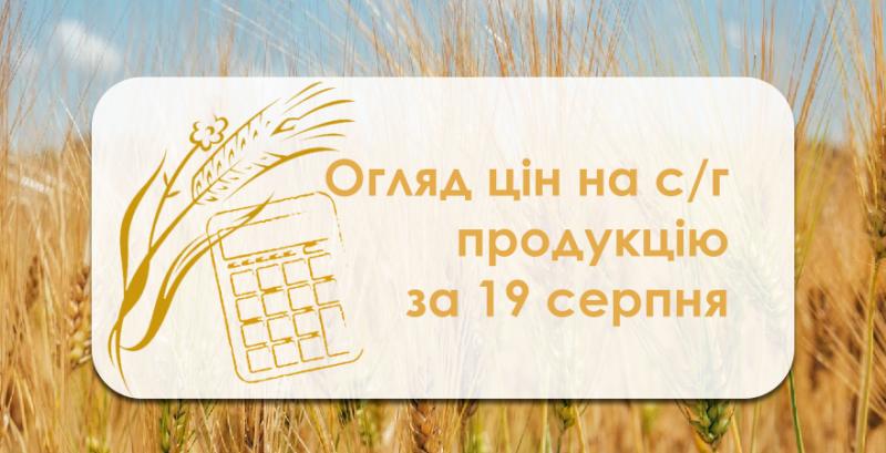 В Україні подорожчав ячмінь — огляд цін на с/г продукцію за 19 серпня