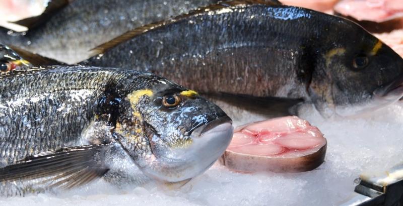 В Україні зберігається високий попит на імпортну рибну продукцію