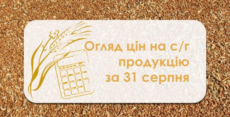 В Україні дорожчає зерно — огляд цін на с/г продукцію за 21 серпня
