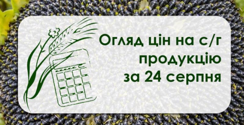 В портах України дорожчає фуражна пшениця — огляд цін на с/г продукцію за 24 серпня
