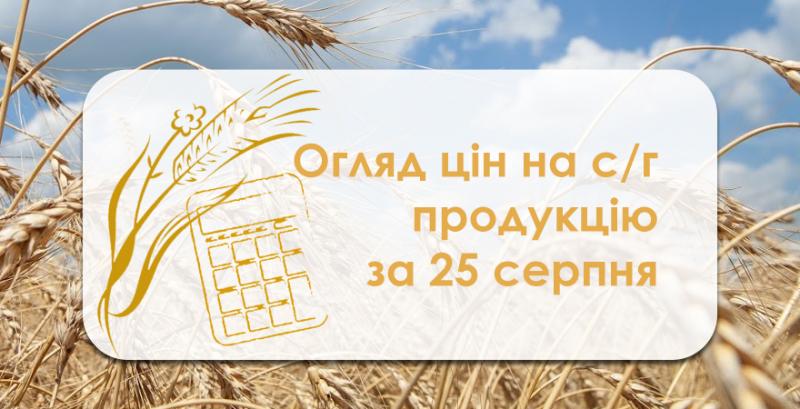 В Україні продовжує дорожчати фуражна пшениця — огляд цін на с/г продукцію за 25 серпня