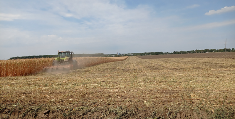 Аграрії Черкащини переорюють поля із кукурудзою