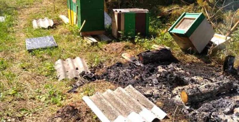 На Тернопільщині зловмисники спалили пасіку