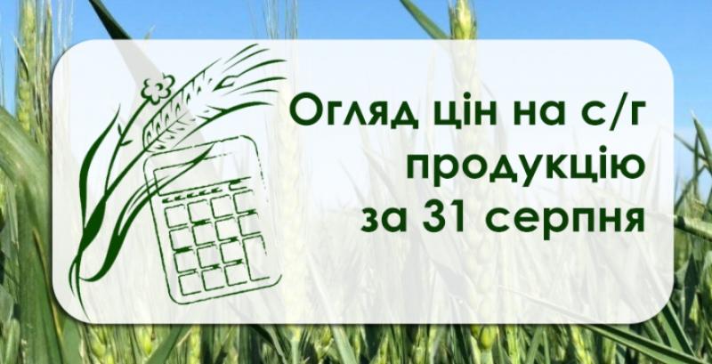 Як змінились ціни на зернові культури — огляд за 31 серпня
