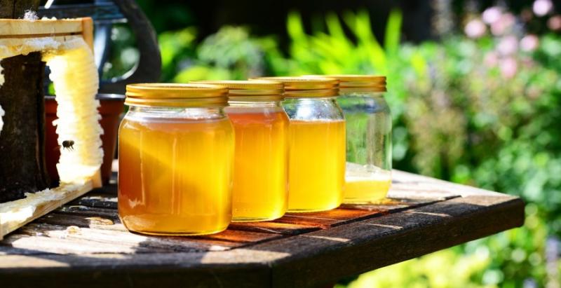 Група бджолярів з Одещини експортуватиме мед в Європу