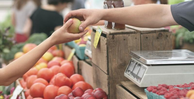 В Україні зафіксовано рекордно високі ціни на яблука 