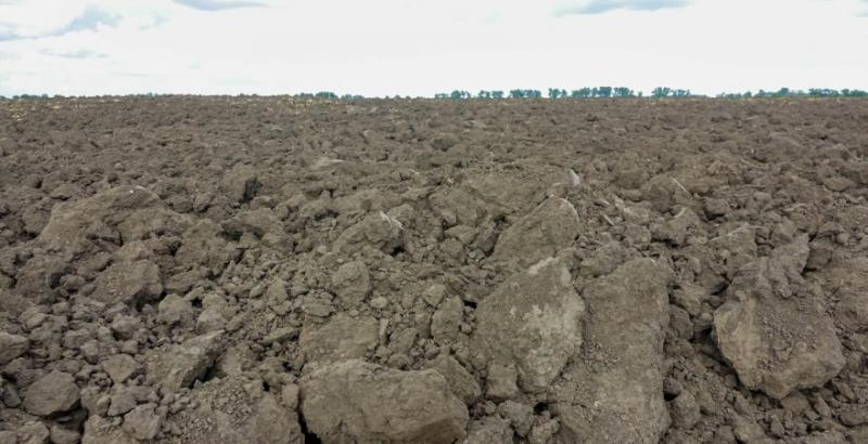 На всій території України зберігається сильна посуха — Метео Фарм