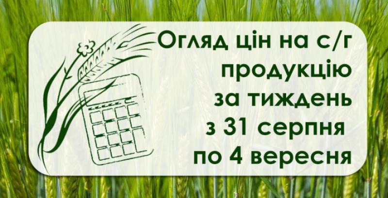 Як змінились ціни на зернові та олійні в Україні — огляд за тиждень з 31 серпня по 4 вересня 