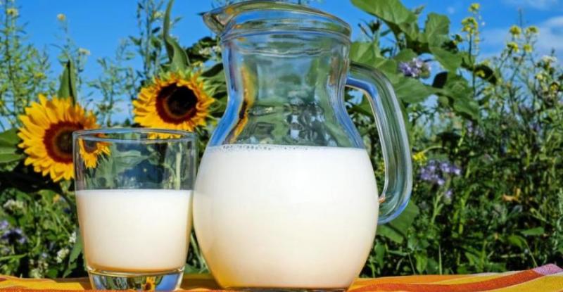 Молоко в Україні подорожчає максимум на 1,5-2% до кінця року — думка