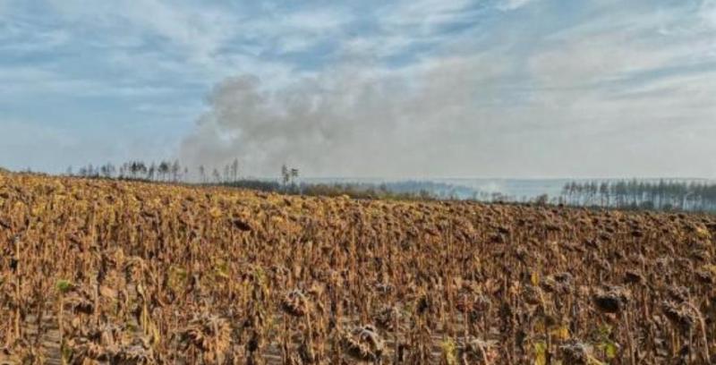 На Харківщині фермери допомогли ліквідувати масштабні пожежі