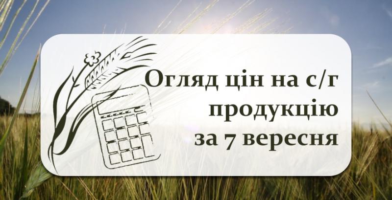 В портах України дорожчає зерно — огляд цін на с/г продукцію за 7 вересня