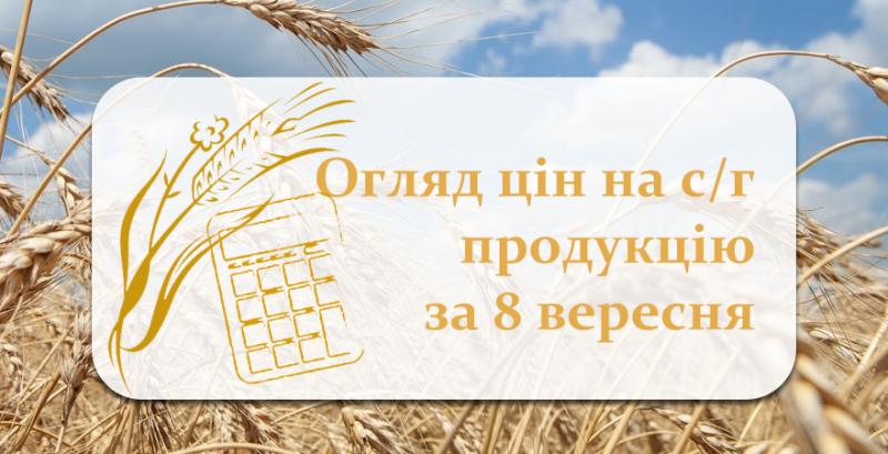 Пшениця в Україні продовжує дорожчати — огляд цін на с/г продукцію за 8 вересня
