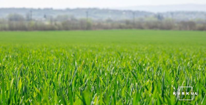 Аграрії США розпочали посів озимої пшениці