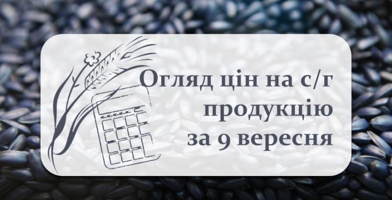 В портах України зросли ціни олійних культур — огляд за 9 вересня