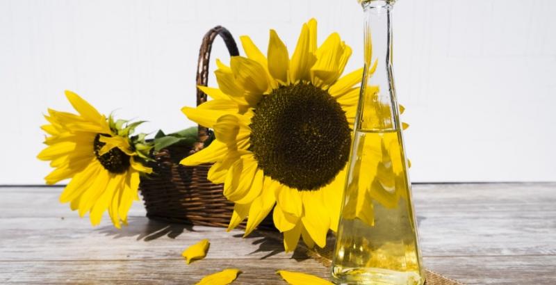 Україна встановила рекорд з експорту соняшникової олії