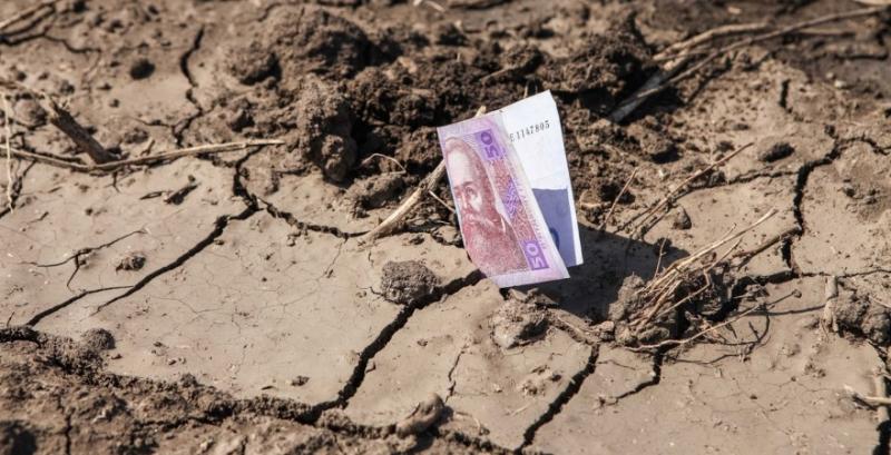 Збитки від посухи в Україні перевищують 6,5 млрд грн