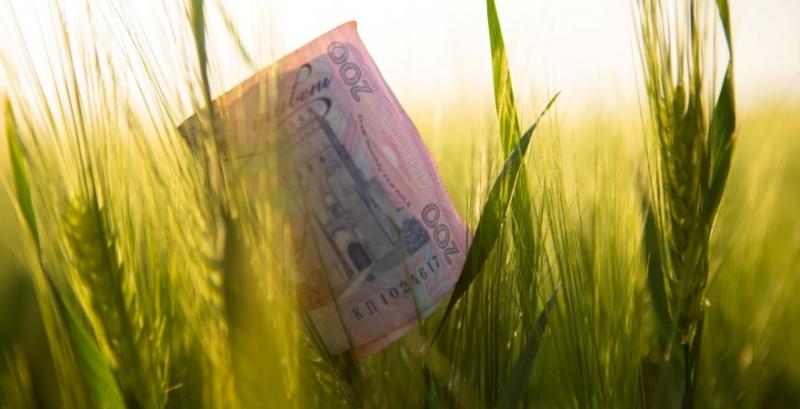 Нардепи підтримали законопроект про зниження для аграріїв ставки ПДВ з 20% до 14%