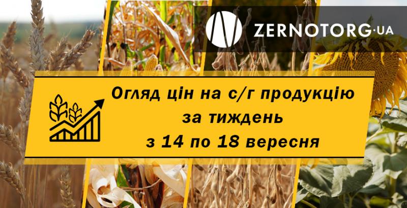 Ціна пшениці продовжує оновлювати максимуми сезону — огляд за тиждень з 14 по 18 вересня від Zernotorg.ua