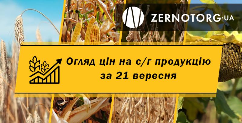В Україні ціна сої перетнула позначку 13 тисяч гривень — огляд за 21 вересня від Zernotorg.ua