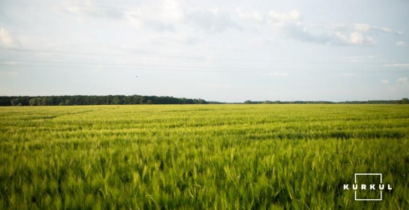 На Чернігівщині фермер заплатить 135 тисяч грн штрафу за самовільне використання землі