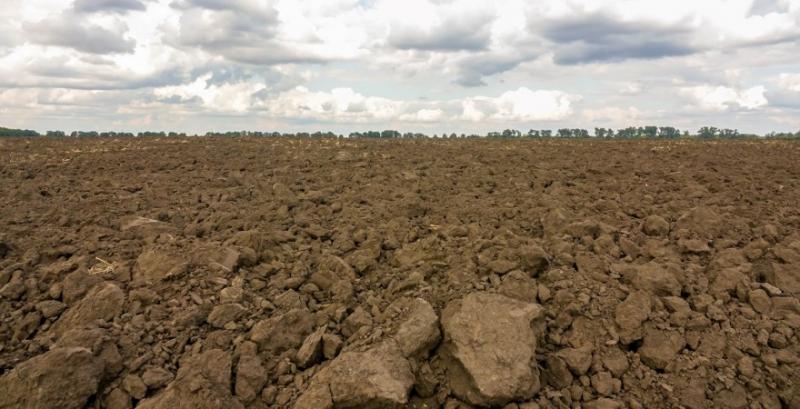 В Україні може бути зірвана посівна озимих через відсутність дощів