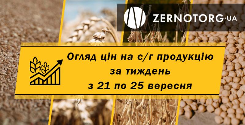 В портах дорожчають кукурудза, пшениця та соя — огляд за тиждень з 21 по 25 вересня від Zernotorg.ua