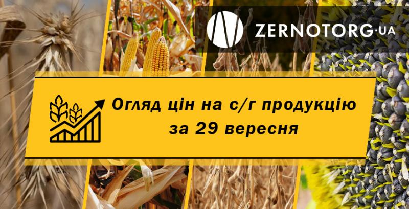 В портах України подешевшала пшениця 2 класу — огляд цін за 29 вересня від Zernotorg.ua