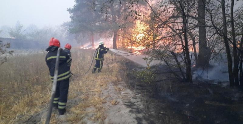 На Луганщині вогнем охоплено 10 тисяч гектарів