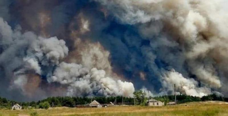На Луганщині через пожежі може постраждати врожай кукурудзи