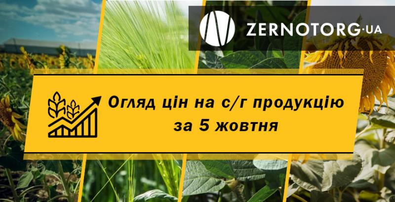 В Україні подорожчали зернові та олійні — огляд цін за 5 жовтня від Zernotorg.ua