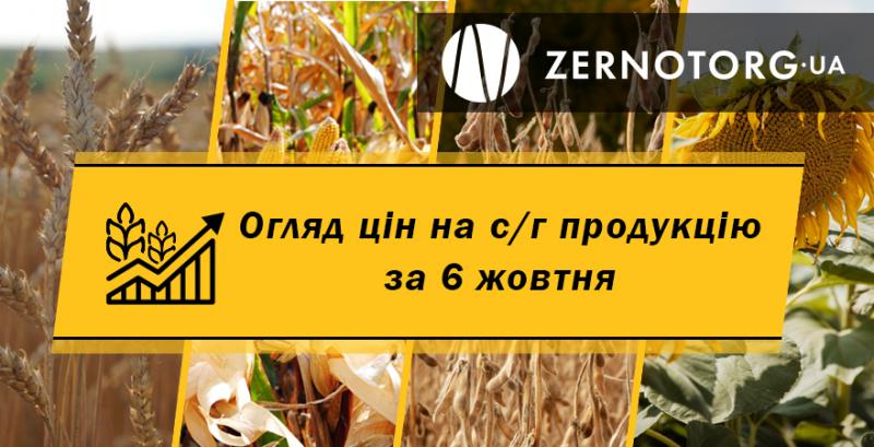 В портах подорожчали кукурудза та пшениця — огляд цін за 6 жовтня від Zernotorg.ua