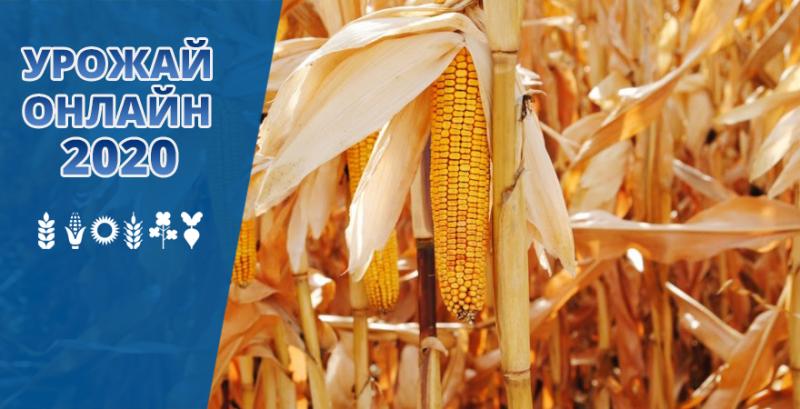 В Україні зібрано 70% врожаю зернових та зернобобових