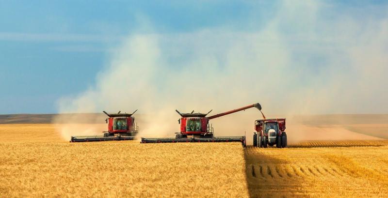 Скорочення валового збору зерна не вплине на внутрішній ринок