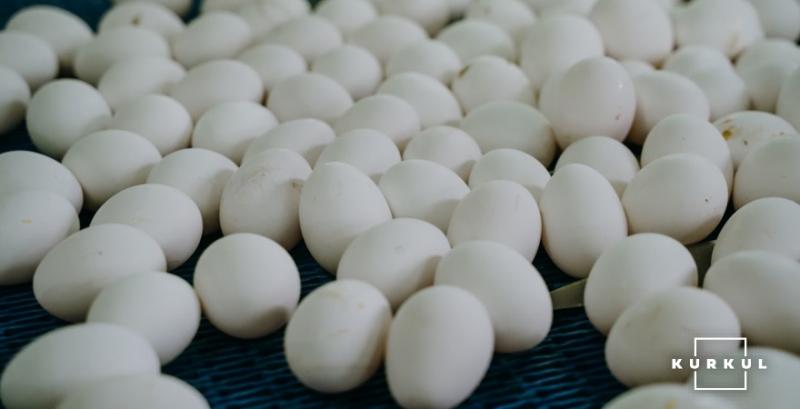 Експерти прогнозують суттєве подорожчання яєць