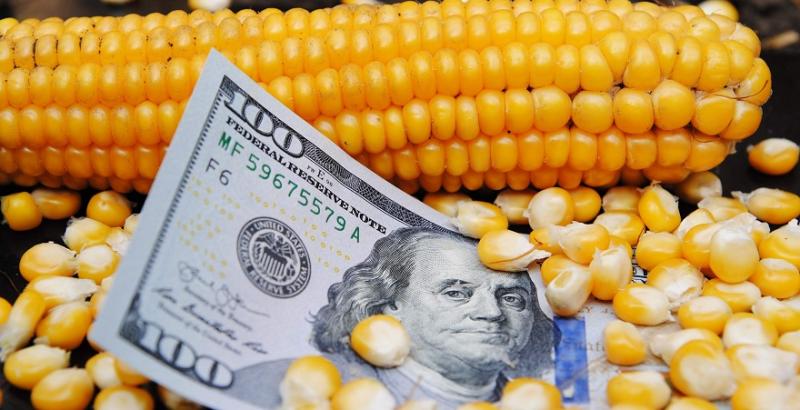 Цього тижня фермери отримають виплати по двох програмах — сільськогосподарська техніка та компенсація вартості насіння