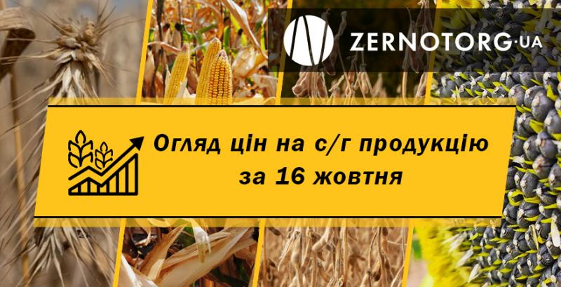 В Україні дорожчають зернові культури — огляд цін за 16 жовтня від Zernotorg.ua