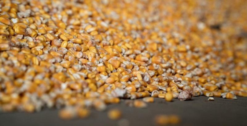 Україна на 16% скоротила експорт зерна 