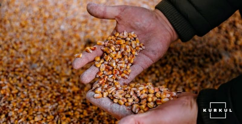 ДПЗКУ розпочав закупівлю зерна врожаю 2021 року