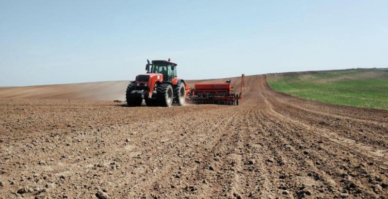 Українські фермери зменшують площі сівби озимих