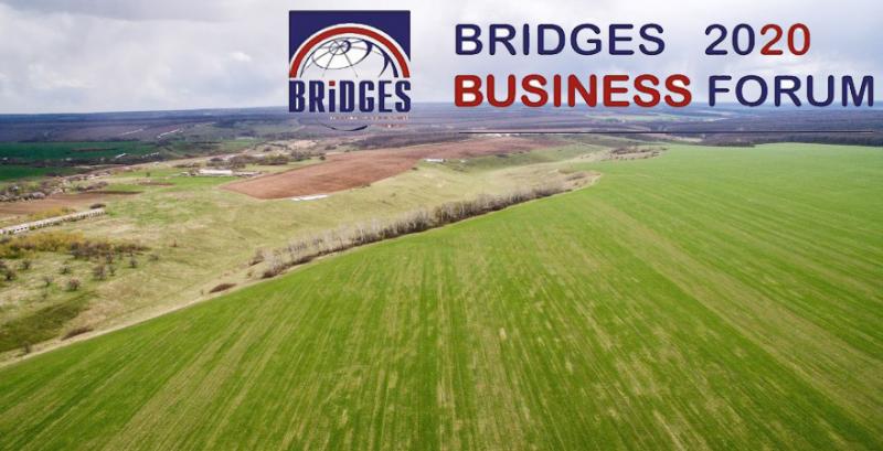 Як фермерам хеджувати ризики відкриття легального ринку с/г землі — BRIDGES Бізнес Форум 2020