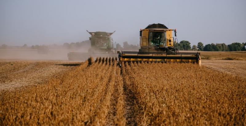 На Черкащині знизилась середня врожайність зернових та олійних культур