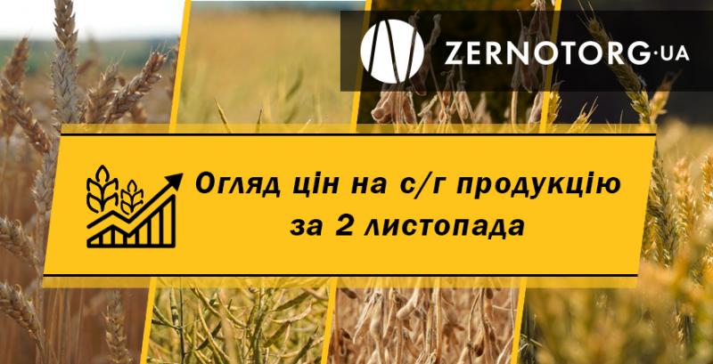 В Україні почала дешевшати пшениця — огляд цін за 2 листопада від Zernotorg.ua