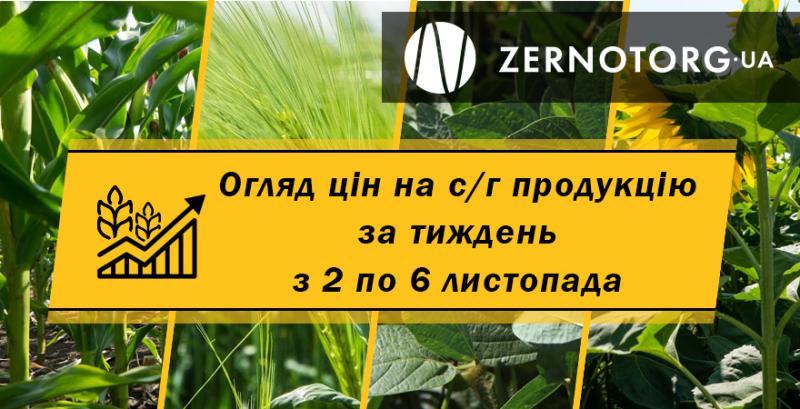 Зміни цін на зернові та олійні в Україні — огляд за тиждень з 2 по 6 листопада від Zernotorg.ua