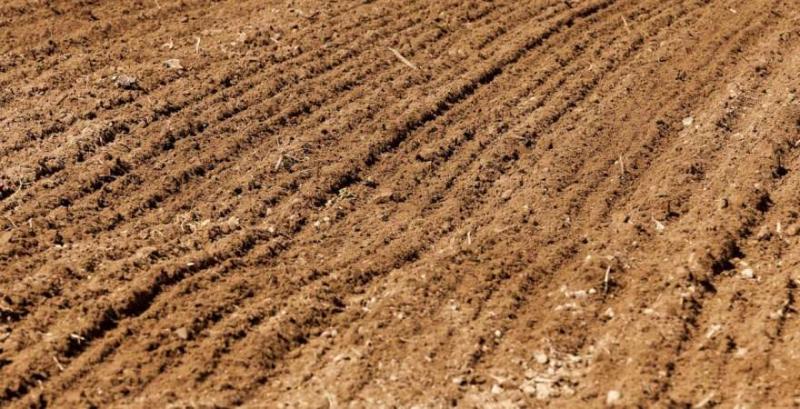 Експерти радять в осінній період досліджувати ґрунт на вміст елементів живлення